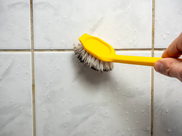 Best Mold Testing  in Fair Haven, NJ