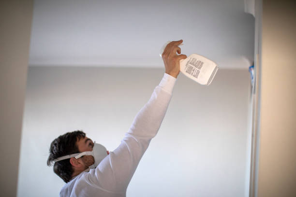 Best Crawl Space Mold Removal  in Fair Haven, NJ