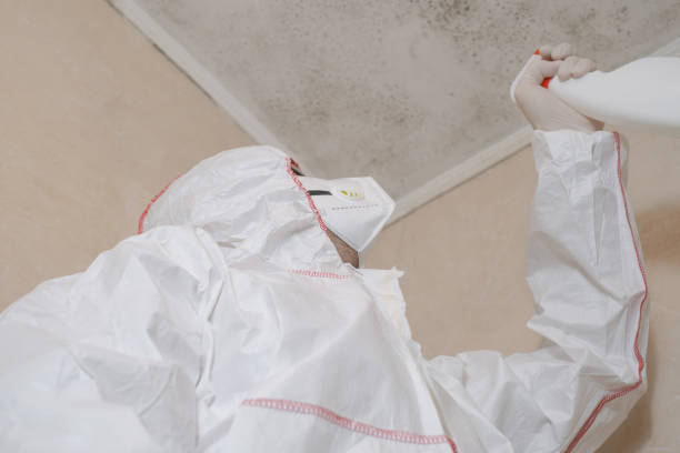Best Professional Mold Removal  in Fair Haven, NJ