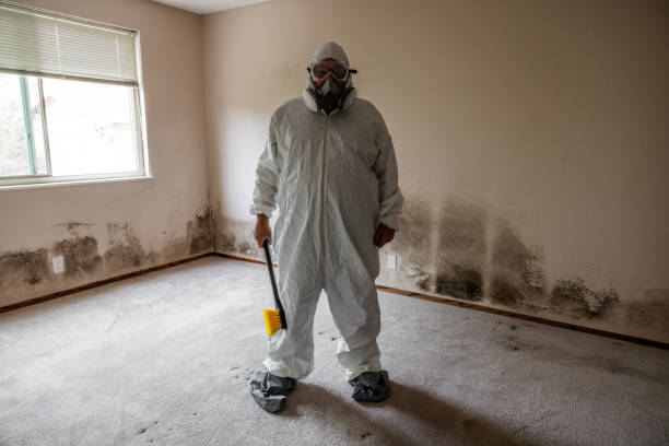 Best Home Mold Removal  in Fair Haven, NJ