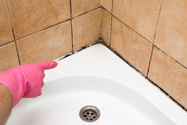 Best Commercial Mold Removal  in Fair Haven, NJ